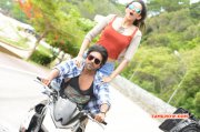 Ramcharan Rakul Preet Bruce Lee 2 Movie Image 927