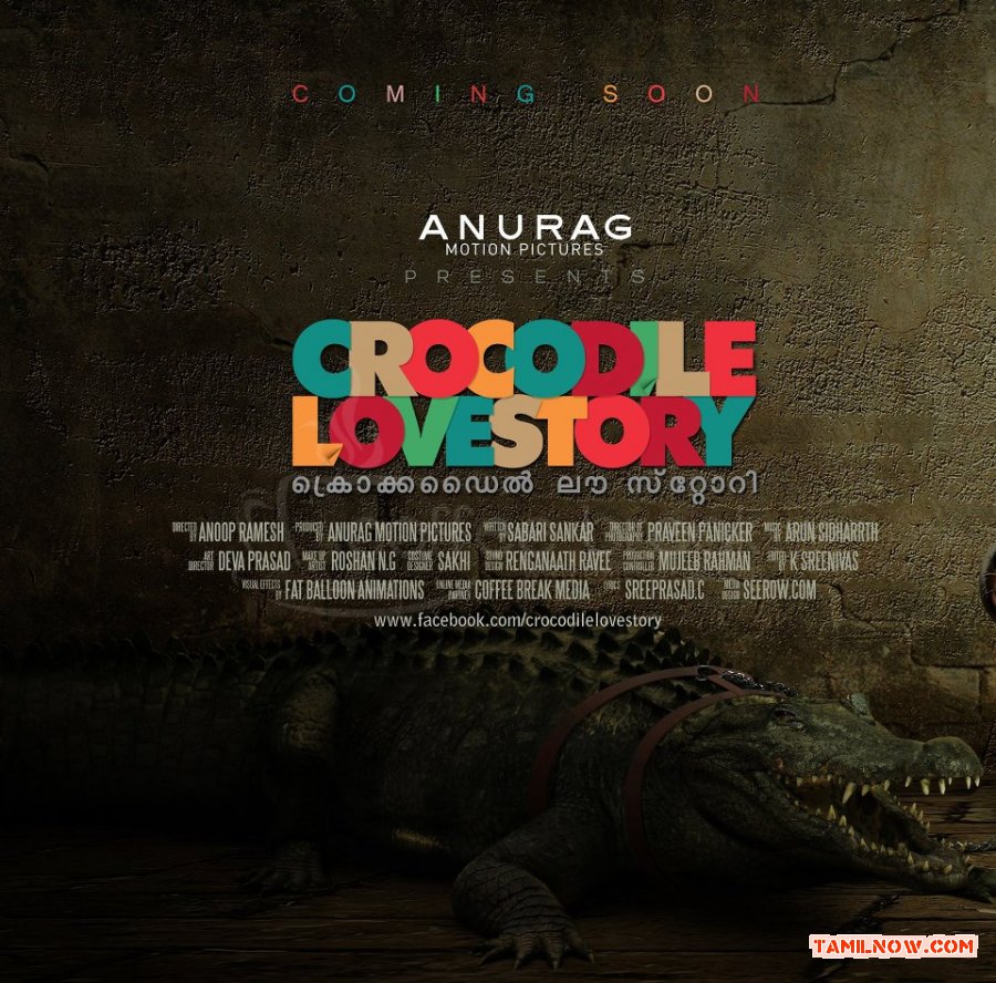 Crocodile Love 8081