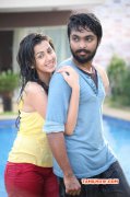 Gv Praksha Kumar Nikki Galrani Darling Movie Gallery 308