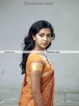 Amala Paul In Deiva Thirumagal Photoshoot 2