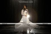 Anushka Deiva Thirumagal New Pics4