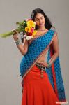 Bindhu Madhavi In Desingu Raja Movie 343