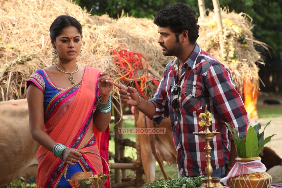 Movie Desingu Raja 9666