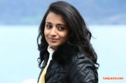 Trisha Krishnan In Endrendrum Punnagai 518