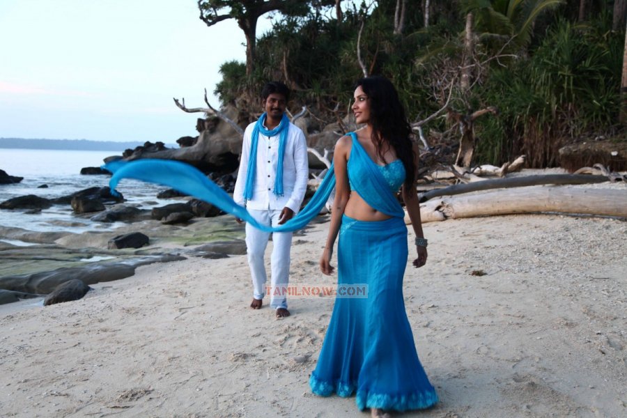 Ethir Neechal Photos 4123