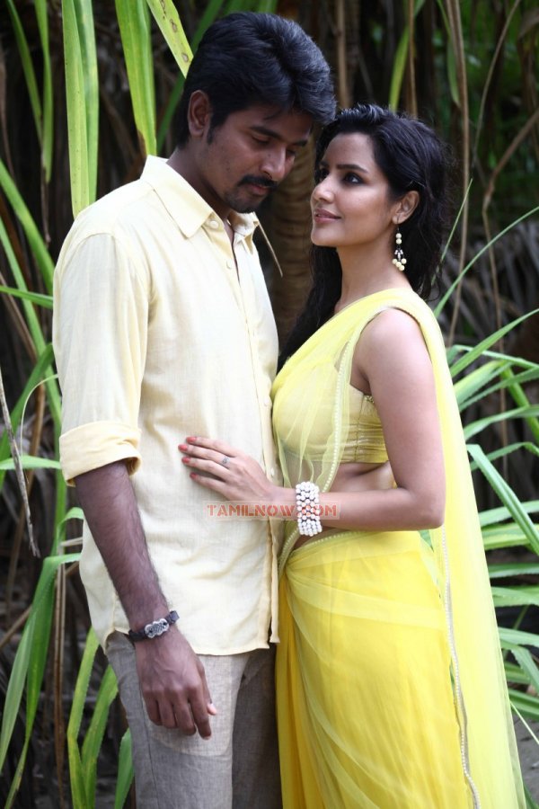 Karthikeyan Priya Anand 501