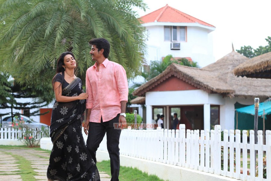 Movie Ethir Neechal 5090