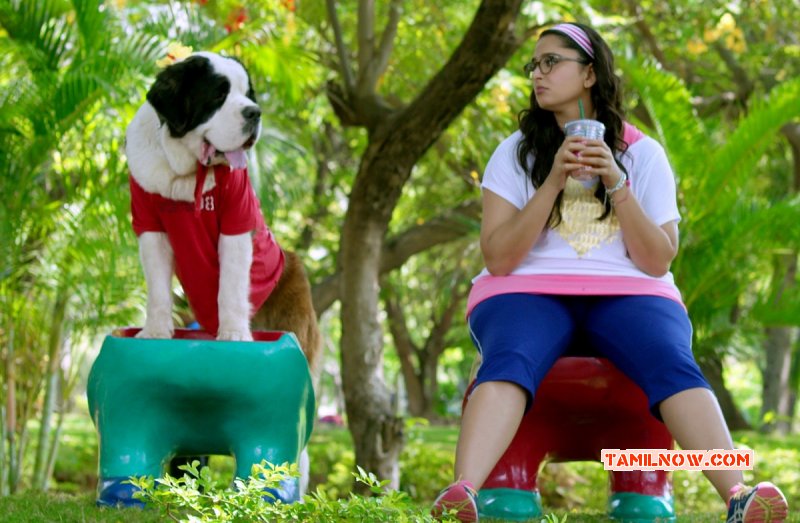 New Still Anushka Shetty In Inji Iduppazhagi 274