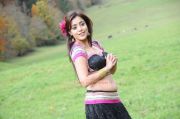 Actress Nisha Agarwal 374