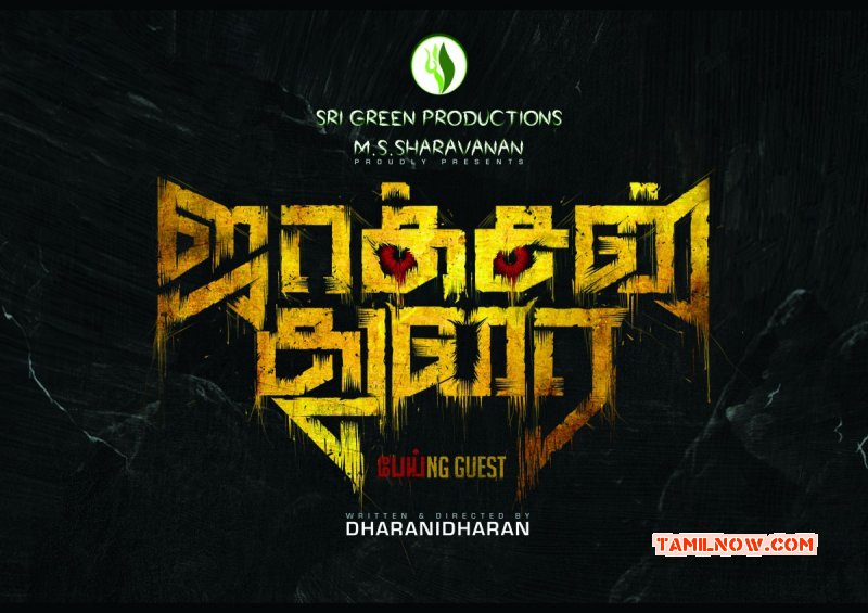 Jackson Durai Logo 791