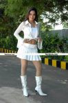 Madhumitha Hot Still 3