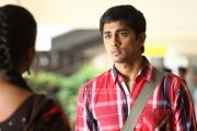 Siddharth In Adhalil Sodhappuvadhu Yeppadi 972