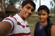 Siddharth Narayan And Amala Paul 416