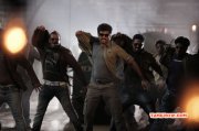 Cinema Image Siva Karthikeyan Kakki Sattai 959