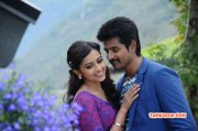 Cinema Kakki Sattai New Photos 2905