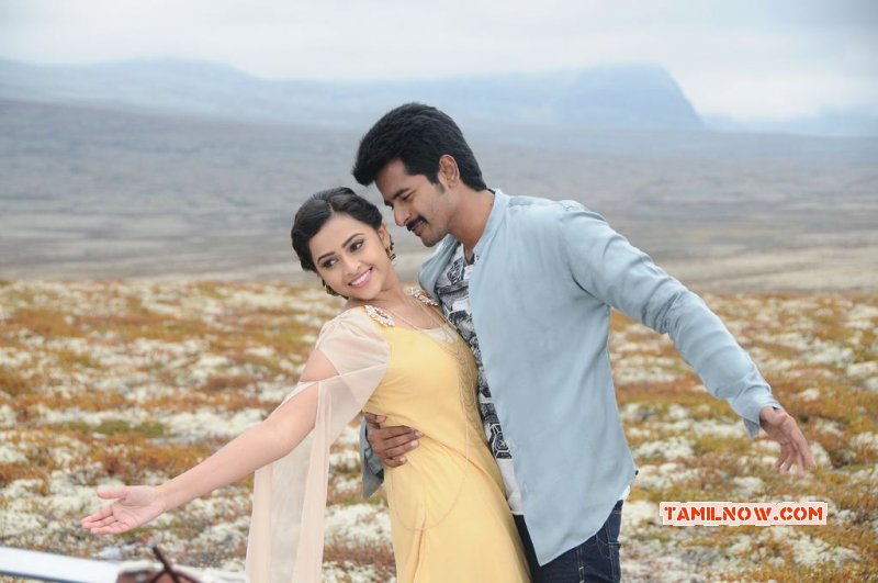 Cinema Siva Karthikeyan Sri Divya Kakki Sattai 950