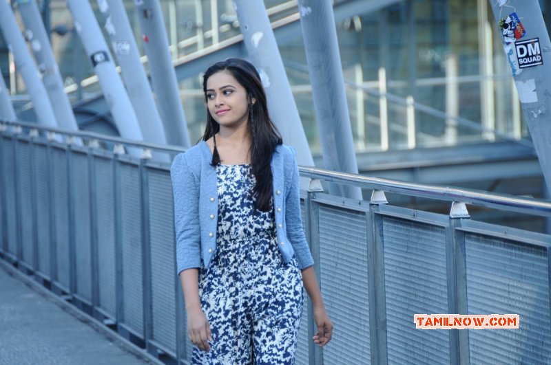 New Photos Kakki Sattai Tamil Cinema 4314