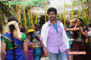 New Pic Siva Karthikeyan Kakki Sattai 952