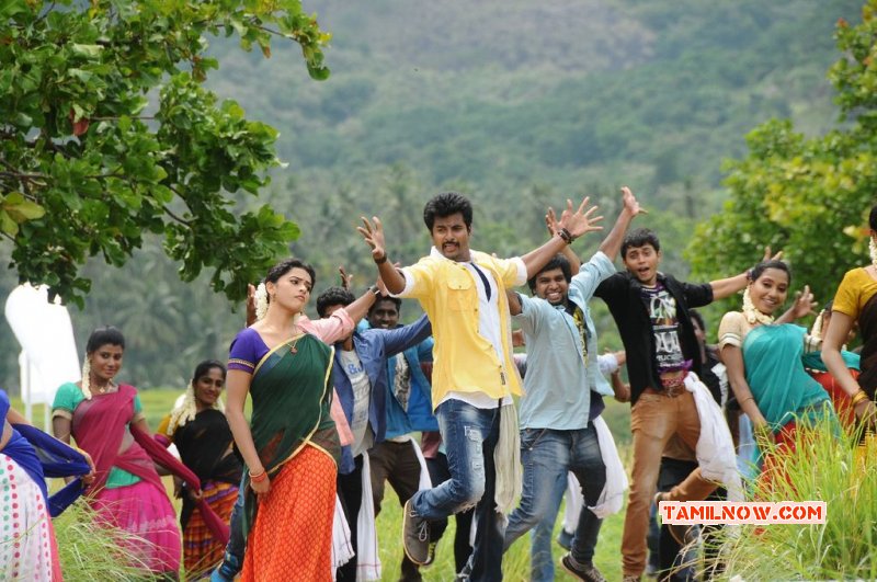 Pic Siva Karthikeyan Sri Divya Kakki Sattai 575