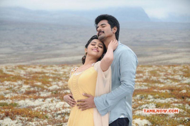 Recent Stills Kakki Sattai Cinema 9149