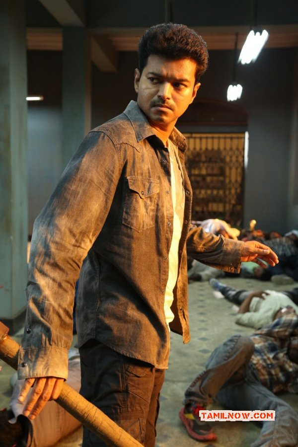 Cinema Image Vijay Kaththi 827