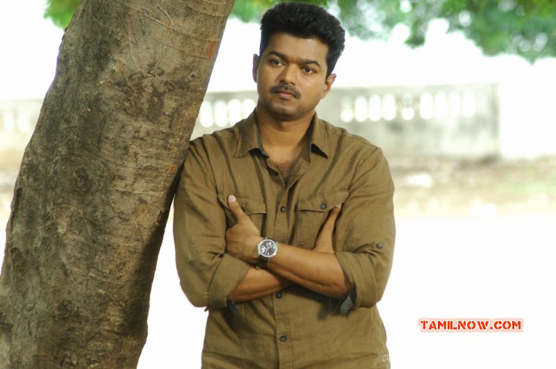 Cinema Pic Vijay Kaththi 504