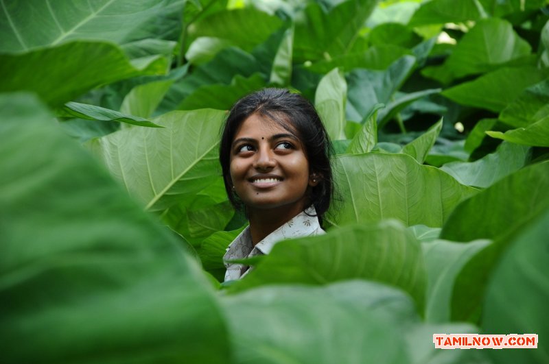 New Tamil Film Kayal Actress Anandhi Still 169