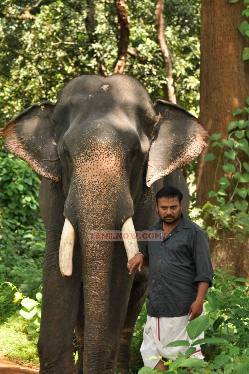 Kumki Latest Photo 561