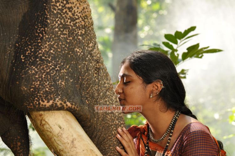 Kumki Pic 300