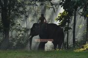 Movie Kumki Latest Photo 994