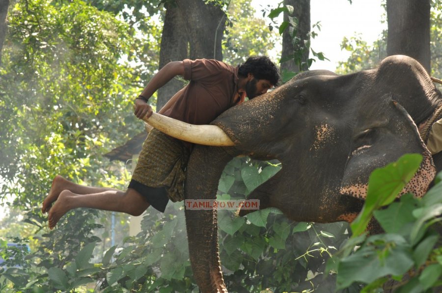 Movie Kumki Photos 6658