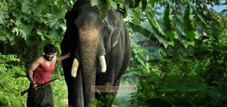 Movie Kumki Photos 9255