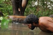 Movie Kumki Stills 3531