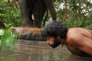 Movie Kumki Stills 4248