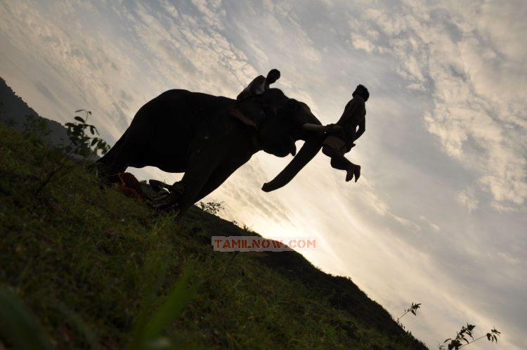 Tamil Movie Kumki Photo 410