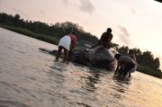 Tamil Movie Kumki Photos 1431