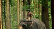 Tamil Movie Kumki Photos 5761