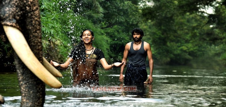 Tamil Movie Kumki Stills 7340