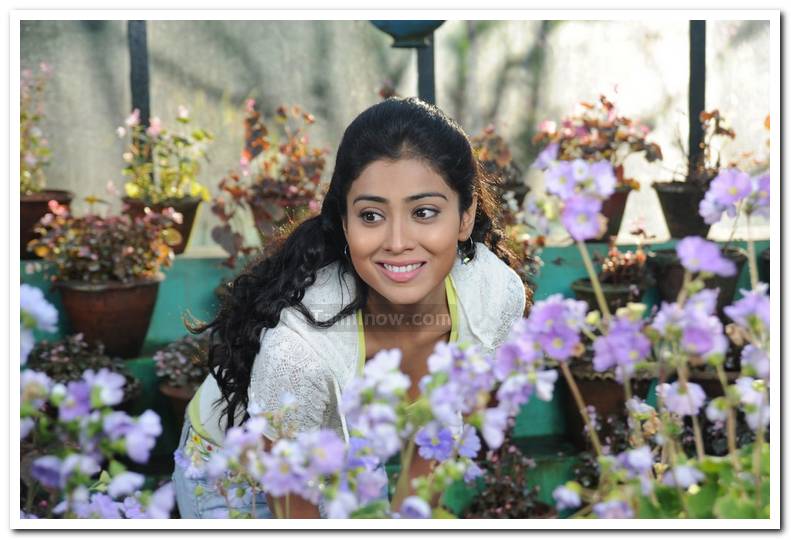 Shriya Saran Photos 6