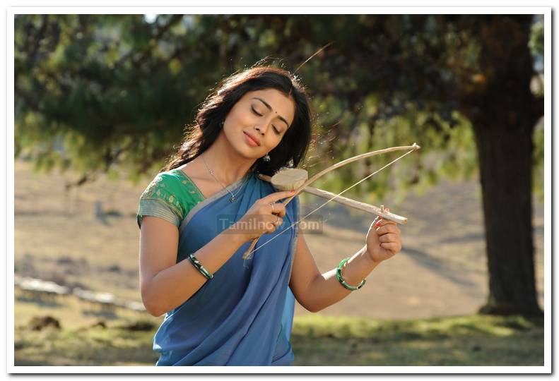 Shriya Saran Stills 13