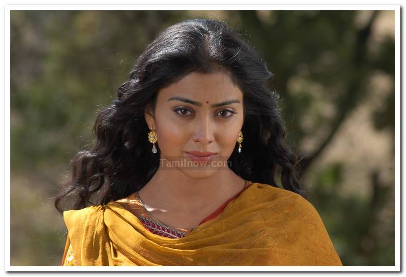 Shriya Saran Stills 5