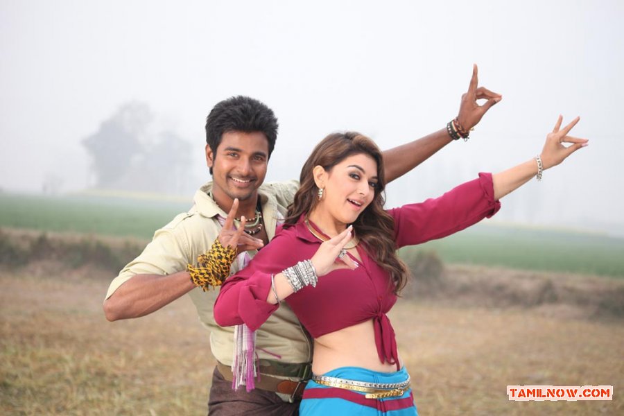 Sivakarthikeyan Hansika 684