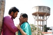 Catherine Tresa And Karthi 702