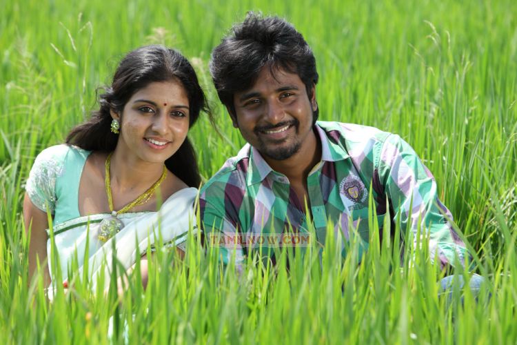 Manam Kothi Paravai New Still 305