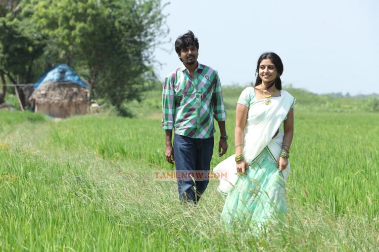 Manam Kothi Paravai Stills 6734