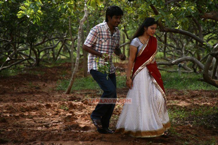 Movie Manam Kothi Paravai Stills 445