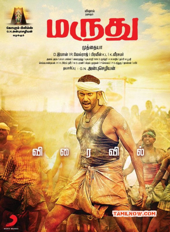 Marudhu Film May 2016 Stills 4925