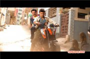 2015 Pics Masss Movie 8773