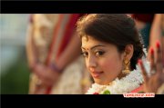 Movie Album Pranitha In Movie Masss 267