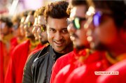 Surya In Movie Massu Gallery 105